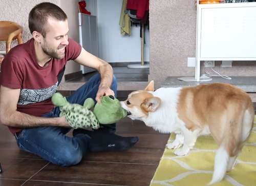 Comment faire avec un chiot : Renforcer le lien grâce au jeu