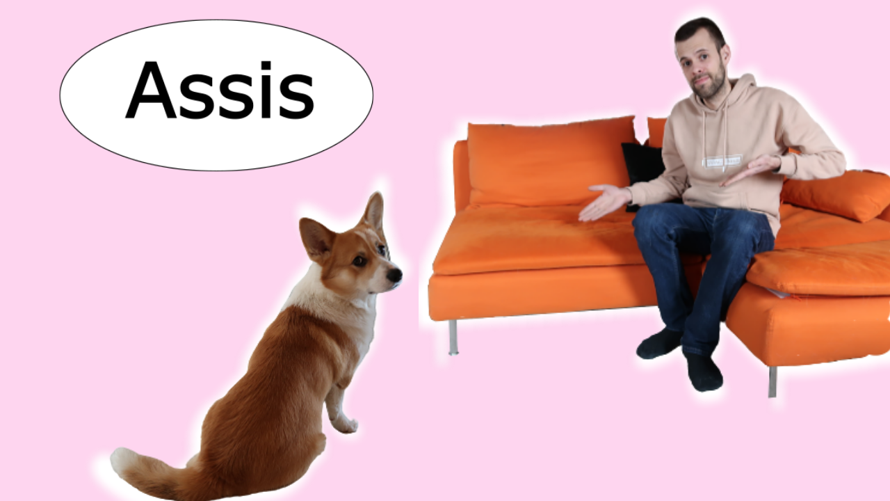 Apprendre à son chien ASSIS - Sans effort supplémentaire