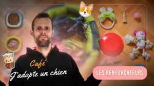 Café J'adopte un chien 04 - Vous ne “récompensez” pas votre chien… vous le renforcez (et ça change tout)
