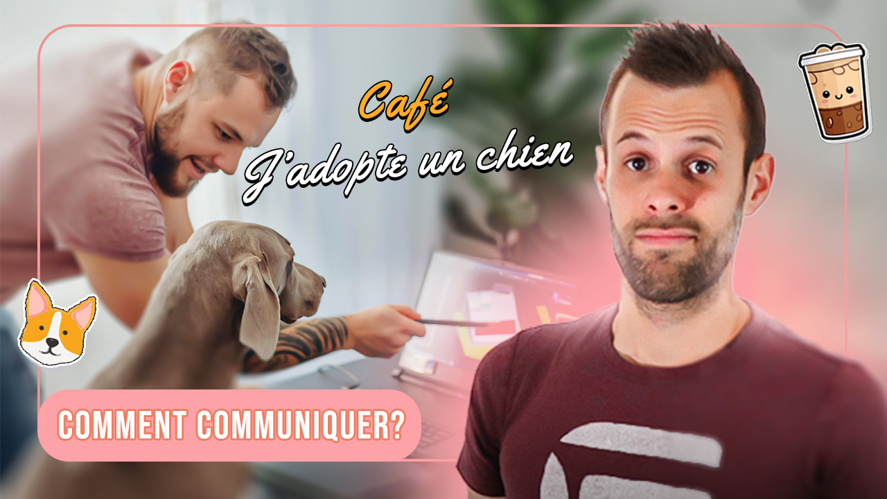 Votre chien ne comprend PAS vos mots (voici ce qu’il regarde vraiment)